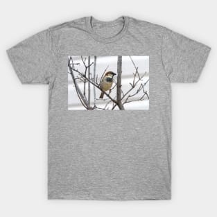 Mister House Sparrow by Debra Martz T-Shirt